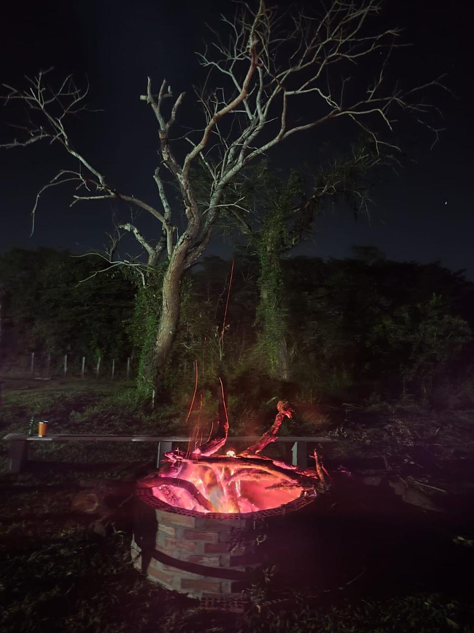 Camping
